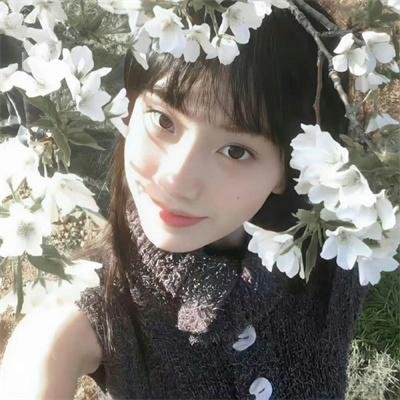 疯城记第二季